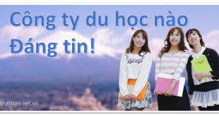 Công ty du học nào uy tín!